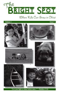 The Bright Spot / Issue 5 / 2010