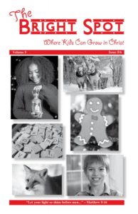 The Bright Spot/Vol. 5/Issue 5&6/2014