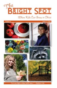 The Bright Spot/Vol. 6/Issue 3/2015