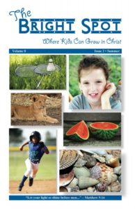 The Bright Spot/Vol. 8/Issue 2/2017