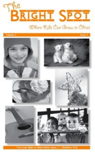 The Bright Spot / Vol. 2 / Issue 1 / 2011